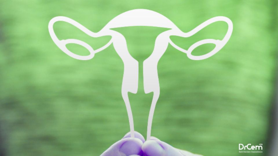 Uterin veya Servikal Neoplaziler görseli - DrCem hastalık rehberi